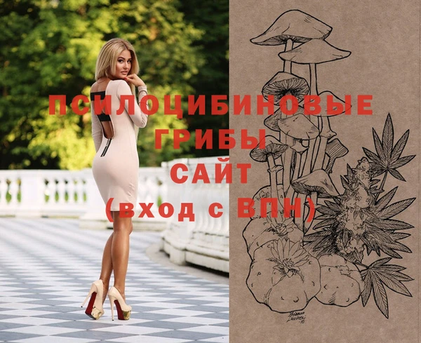 ПСИЛОЦИБИНОВЫЕ ГРИБЫ Баксан