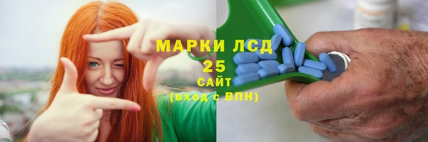 прущий лед Краснослободск