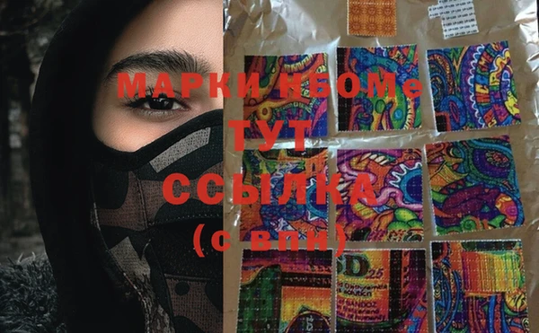 ПСИЛОЦИБИНОВЫЕ ГРИБЫ Баксан