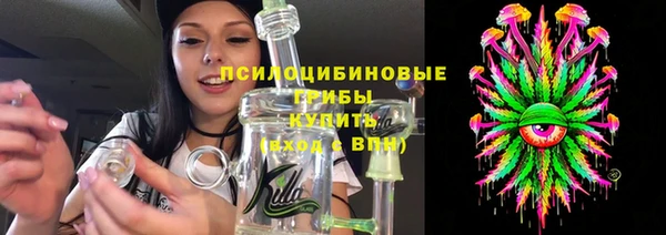 ПСИЛОЦИБИНОВЫЕ ГРИБЫ Баксан